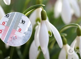 Весна в Украине начнется с мокрого снега, а затем потеплеет до +12 – синоптики