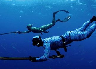 Какое снаряжение необходимо для дайвинга и подводной охоты