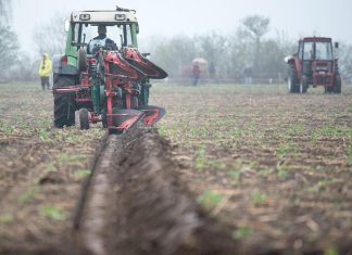 Больше не житница: аграрное супербудущее Украины отменяется