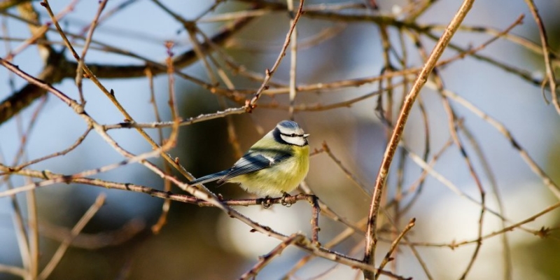 До +10 на&nbsp;выходных и&nbsp;мокрый снег. Какой будет погода до&nbsp;конца недели&nbsp;&mdash; прогноз