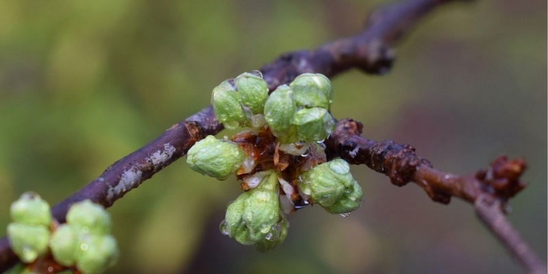 До +16. В&nbsp;конце следующей недели в&nbsp;Украине ожидается сильное потепление&nbsp;&mdash; прогноз погоды