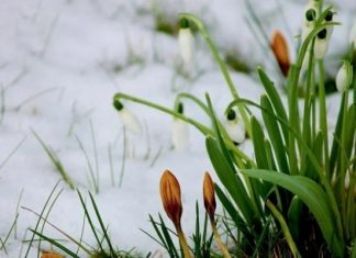 Морозы ночью и тепло перед выходными. Какой будет погода в Украине на следующей неделе