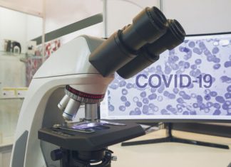 Отчет ВОЗ: Наиболее вероятный источник возникновения COVID-19 – животные, а не лаборатория – AP