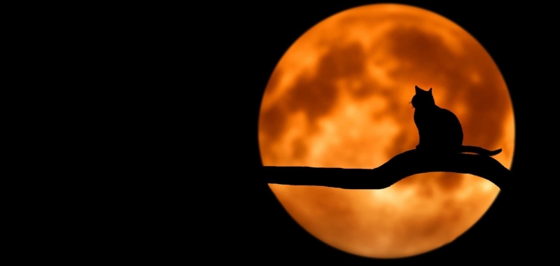 Полнолуние 28 марта: астролог рассказал об опасностях и возможностях