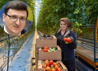 Специалист по международному трудоустройству Василий Воскобойник: Главная опасность для трудового мигранта – стать иностранцем-нелегалом