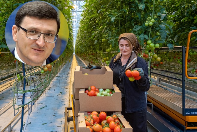 Специалист по международному трудоустройству Василий Воскобойник: Главная опасность для трудового мигранта &ndash; стать иностранцем-нелегалом