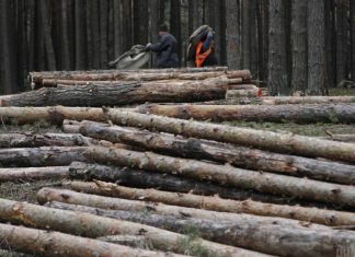 Станут ли украинцы богаче, получая доход от наших недр