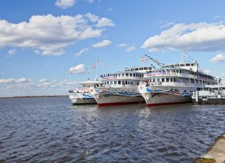 В 2,5 раза вырос объем бронирований круизов по России за неделю «кешбэка»