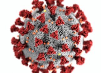 В Украине подтвердили случаи заражения »британским» COVID-19 – СМИ