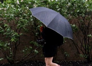 В Украине резко потеплеет и пойдут дожди: синоптики уточнили прогноз погоды на четверг. Карта