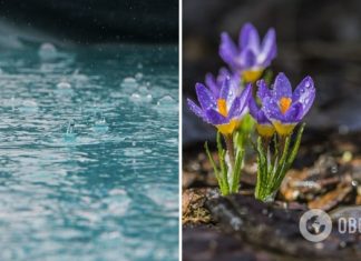 В Украине во вторник ожидаются дожди: какие области накроет непогода. Карта