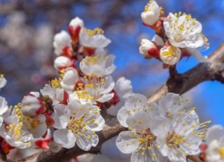 В Украину идет потепление: народный синоптик дал подробный прогноз на конец марта и начало апреля