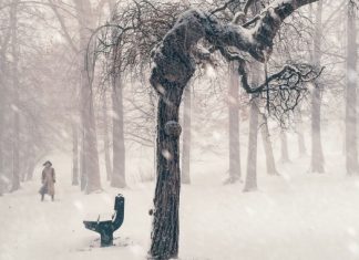 В Украину придет похолодание и ночные морозы: появился свежий прогноз погоды