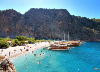 Эксперт рассказал, на каких условиях Turkish Airlines планирует выполнение вывозных рейсов по маршруту Стамбул — Санкт-Петербург — Стамбул