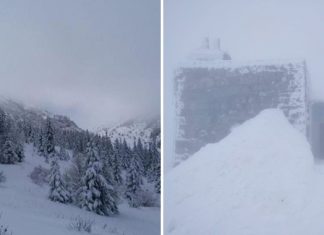 Карпаты засыпало снегом: объявлен третий уровень опасности. Фото