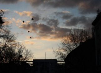 Ночные морозы и дожди: какой будет погода в Украине в ближайшие дни