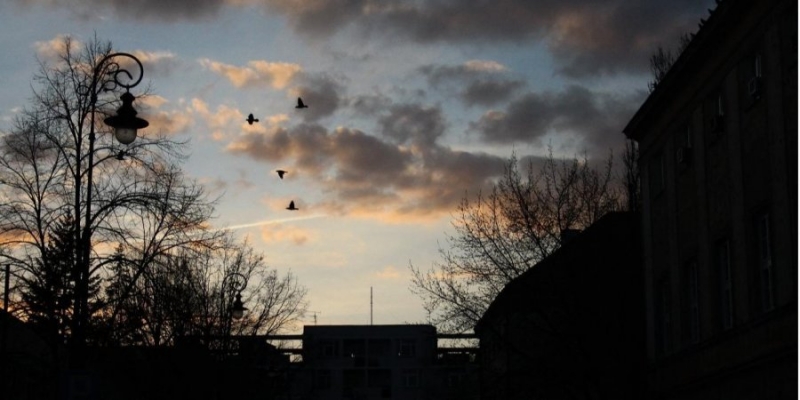 Ночные морозы и дожди: какой будет погода в Украине в ближайшие дни