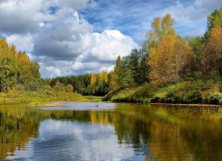 Почему возвраты из фондов Турпомощи это благо