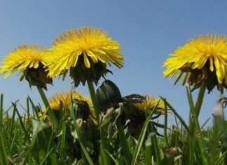 Погода на Пасху и майские праздники: синоптик рассказала, где потеплеет до +24