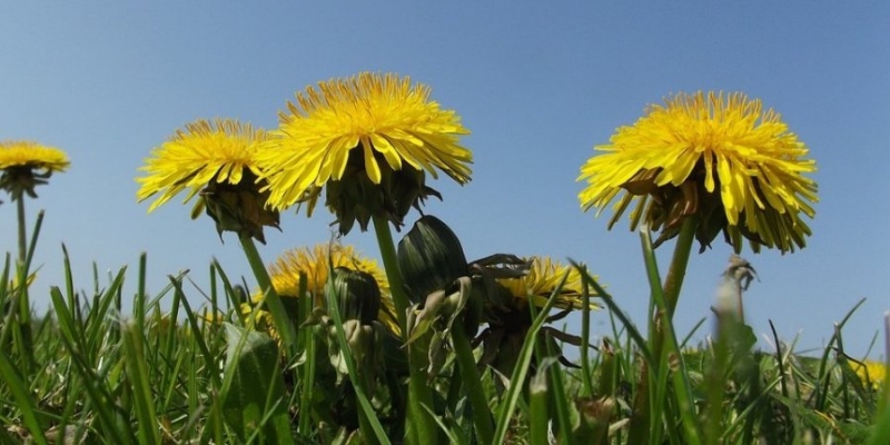 Погода на&nbsp;Пасху и&nbsp;майские праздники: синоптик рассказала, где потеплеет до +24
