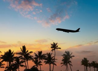 Россия и Египет полностью восстанавливают авиасообщение