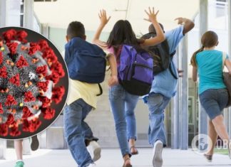 Школьные каникулы до конца 2021 года в Украине: даты и где перешли на дистанционное обучение