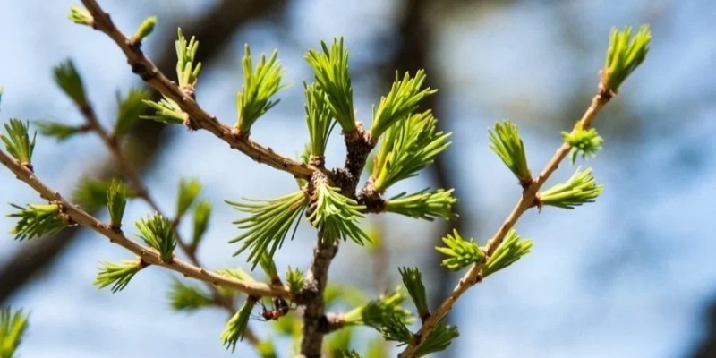 Синоптики рассказали, где в&nbsp;Украине на&nbsp;следующей неделе будет тепло, а&nbsp;каким регионам ждать дожди и&nbsp;мокрый снег