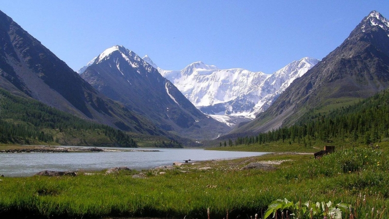 Система электронных путевок заработает в&nbsp;2021 году