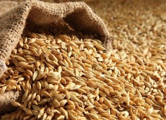 Украина с 10 апреля запретила ввоз из России пшеницы, подсолнечного масла и бумаги