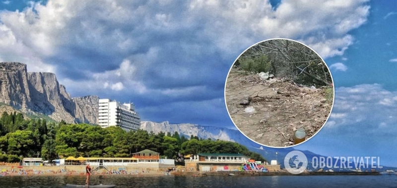 В сети показали, как оккупанты замусорили Форосский парк в Крыму. Фото и видео