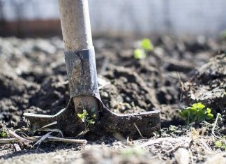 В Слуге народа объяснили: никто не забирает у украинцев два бесплатных гектара — наоборот, расширят возможности