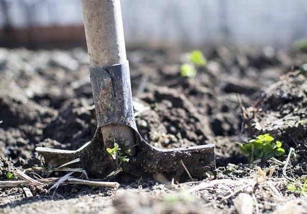 В Слуге народа объяснили: никто не забирает у украинцев два бесплатных гектара - наоборот, расширят возможности