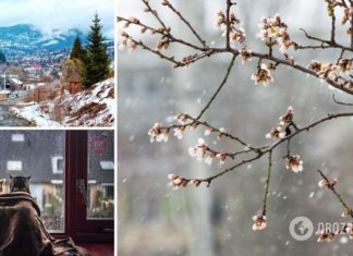 В Украину надвигается серьезное похолодание из Европы: синоптик уточнила прогноз погоды