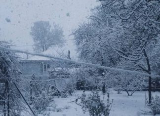 Зима вернулась. Сразу в нескольких регионах Украины выпал снег, в Карпатах пять градусов мороза — фото и видео