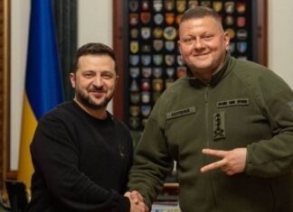 «Этого панически опасаются в ОП». Залужный планирует баллотироваться, Ермак убедил Зеленского идти на второй срок — Забелина о выборах осенью