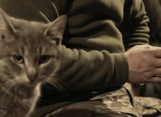 Зарплаты и надбавки в армии. Что получают военнослужащие за свою службу