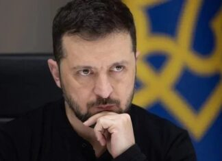 Новый опрос показал, сколько украинцев доверяют Зеленскому