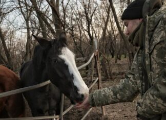 Мобилизация 2025: что нужно знать о бронировании работников в марте