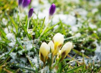 Аномальное тепло. Синоптики сообщили о температуре выше нормы на выходных и где ночью будет мороз