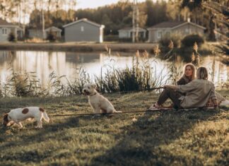 В России появился первый сертифицированный Pet Friendly отель