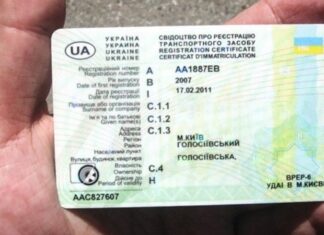 Свидетельство о регистрации авто: как восстановить и нужно ли менять номерной знак