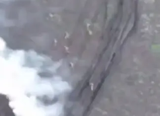 «Отработали по каждому пехотинцу». На Новопавловском направлении штурм россиян превратился в их поражение — видео