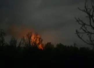 ВСУ имели успех вблизи Удачного в Донецкой области, оккупанты продвинулись возле двух населенных пунктов — DeepState