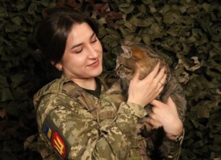Повестки, ВВК, мобилизация: что изменится для военнообязанных с апреля 2025 года
