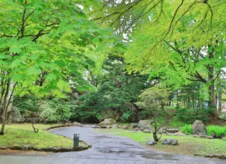 Опасные метеорологические явления. Синоптик предупредила, как распространится по Украине непогода: заморозки, дожди, грозы, ветер