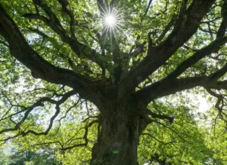 Циклон и атмосферный фронт. Синоптик сообщила о контрастной температуре от +9 до +23 в Украине на выходных и когда придет потепление