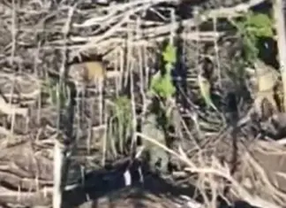 Российские оккупанты расстреляли двух украинских военнопленных на Покровском направлении — Офис генпрокурора