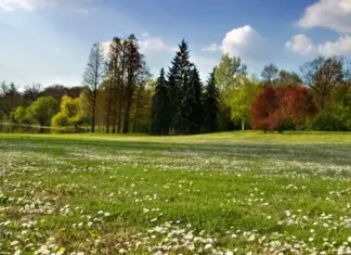 Накануне лета. Синоптик сообщила о дождях, грозах в ближайшие дни и с какой погоды начнется июнь