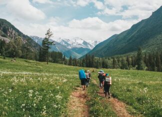 Внутренний турпоток продолжает расти