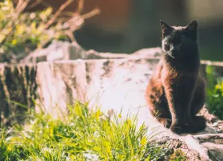 От +21 до +38. Где в Украине продлится аномальная жара и кому удастся насладиться комфортной температурой на выходных